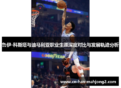 鲁伊-科斯塔与迪马利亚职业生涯深度对比与发展轨迹分析